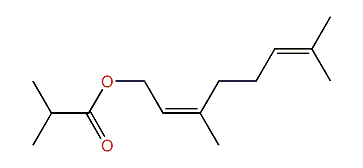 (Z)-3,7-Dimethyl-2,6-octadienyl isobutyrate